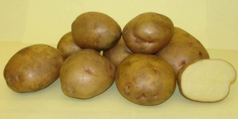 Krompir žukovski: opis sorte, fotografije, recenzije